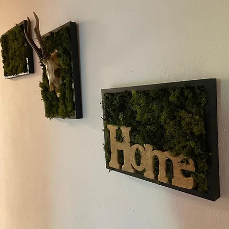 Apartment Mali